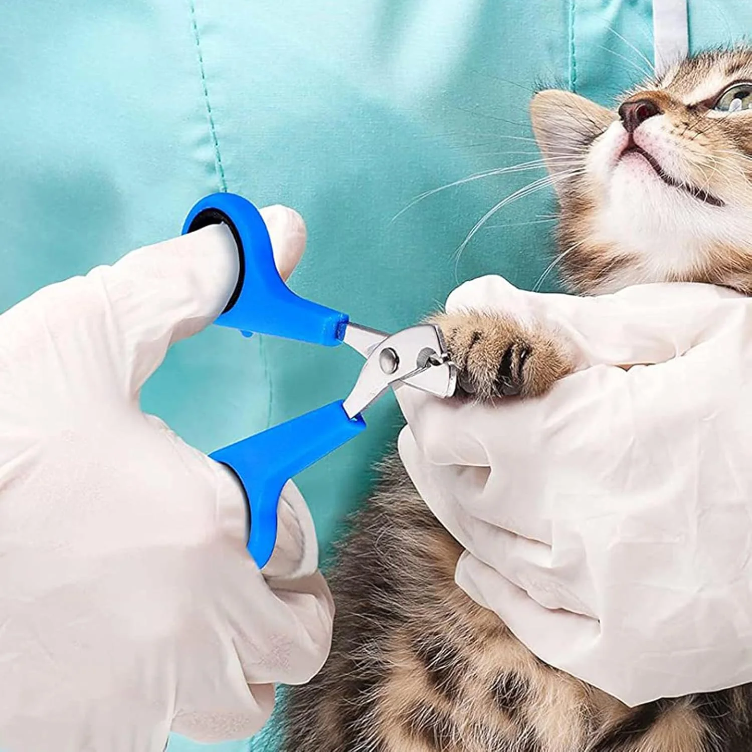 کیف اصلاح گربه | توری حمام گربه با ناخن گیر - لوازم حمام قابل تنظیم و تنفسی با مراقبت از پنجه ناخن گیر برای پیرایش وان حمام در محیط داخلی