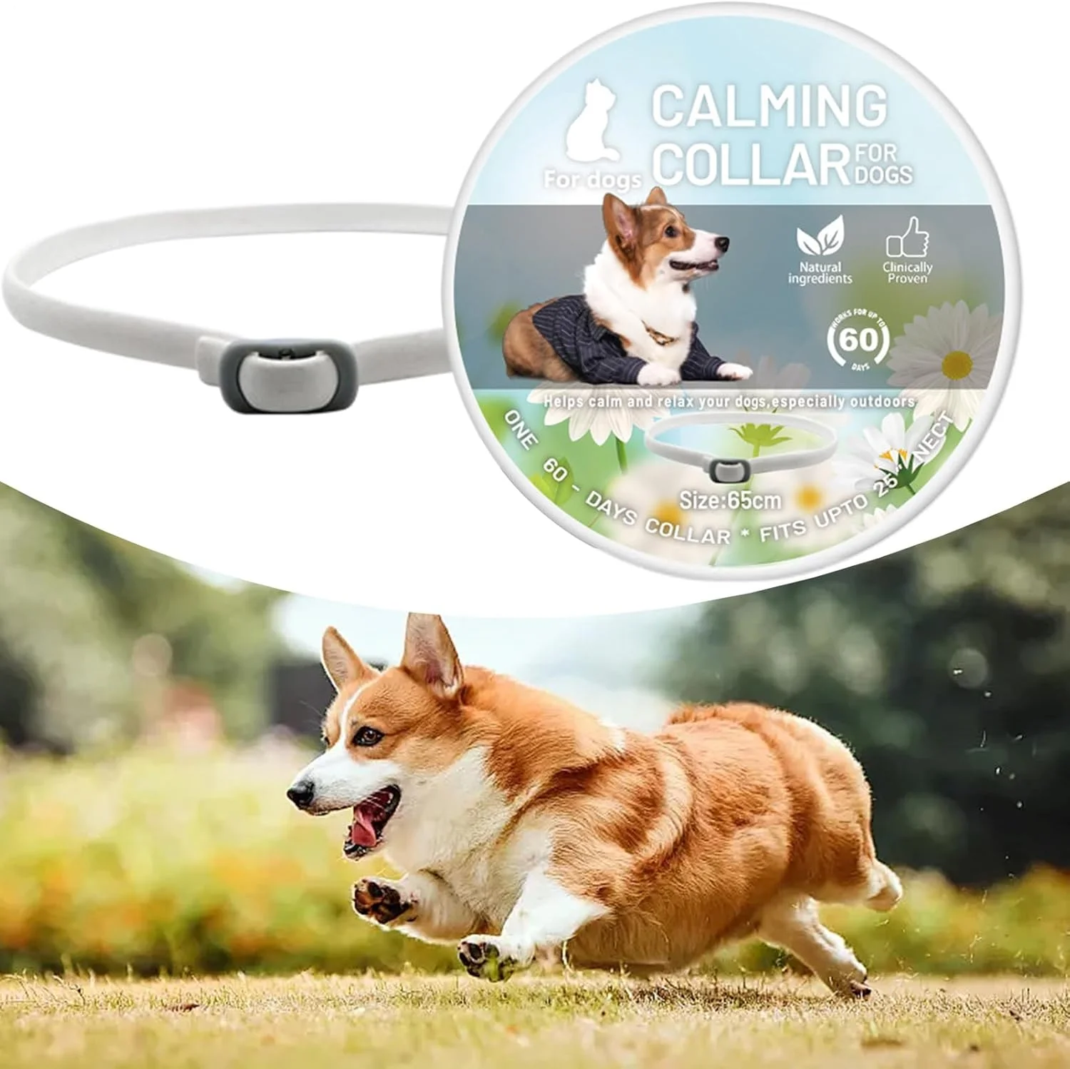 قلاده آرام‌بخش برای گربه‌ها - قلاده فرمونی آرام‌بخش برای گربه‌ها، کاهش رفتارهای ناخواسته، پخش‌کننده آرام، لوازم حیوانات خانگی برای بچه گربه، توله سگ و فضای داخلی