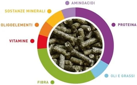 پادوان Wellness غذای کامل خرگوش های کوتوله جوان، 1 کیلوگرم