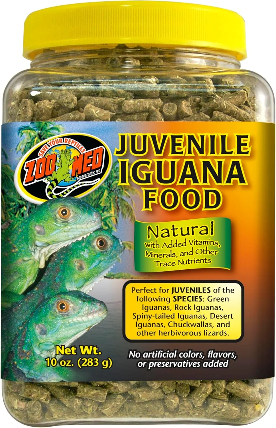 غذای نرم و مرطوب ایگوانای جوان زو مد آزمایشگاه