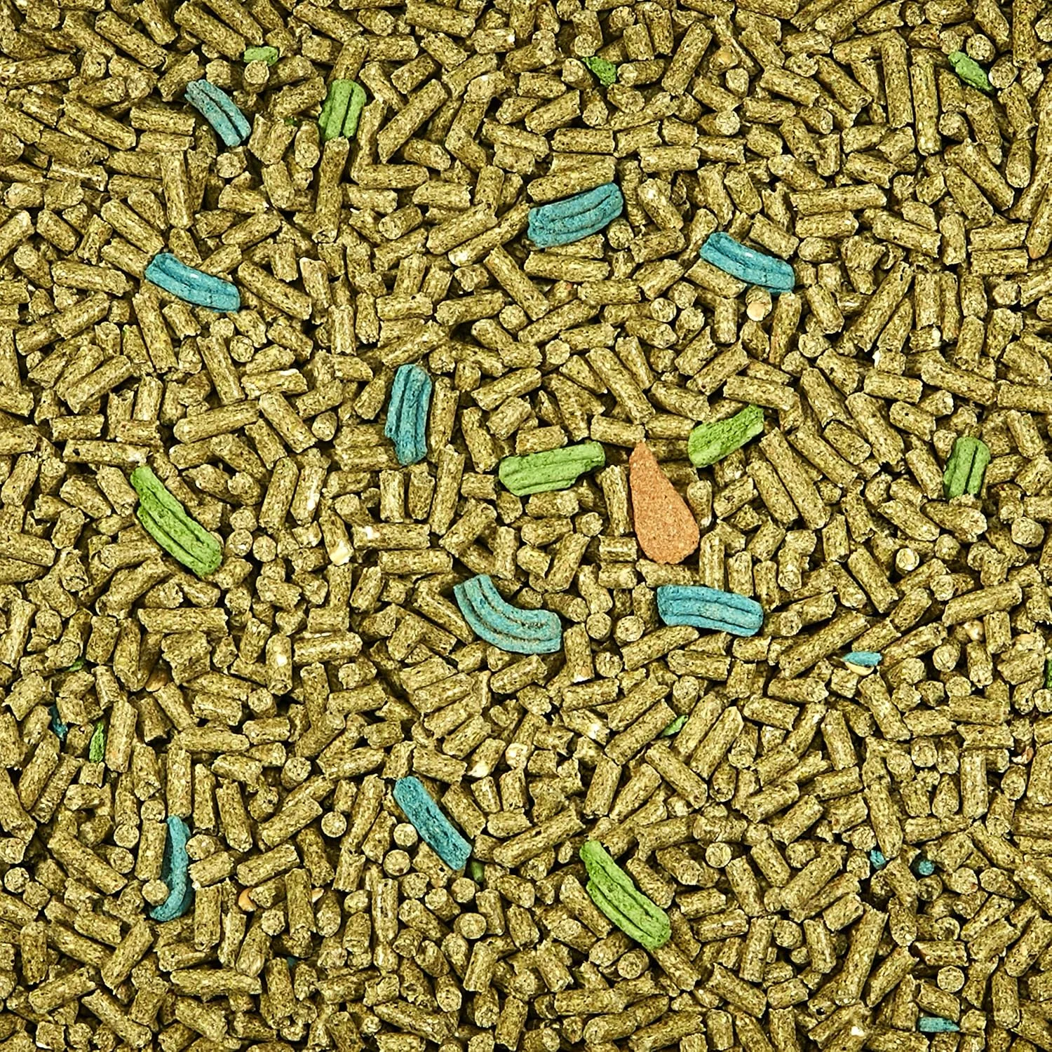 غذای خوکچه هندی Kaytee Forti Diet Pro Health، ۱۱.۳ کیلوگرمی