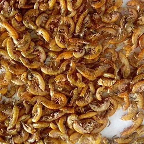 غذای لاک پشت آبی کیکی گاماروس، بدون ناخالصی های ناسالم، 110 گرم