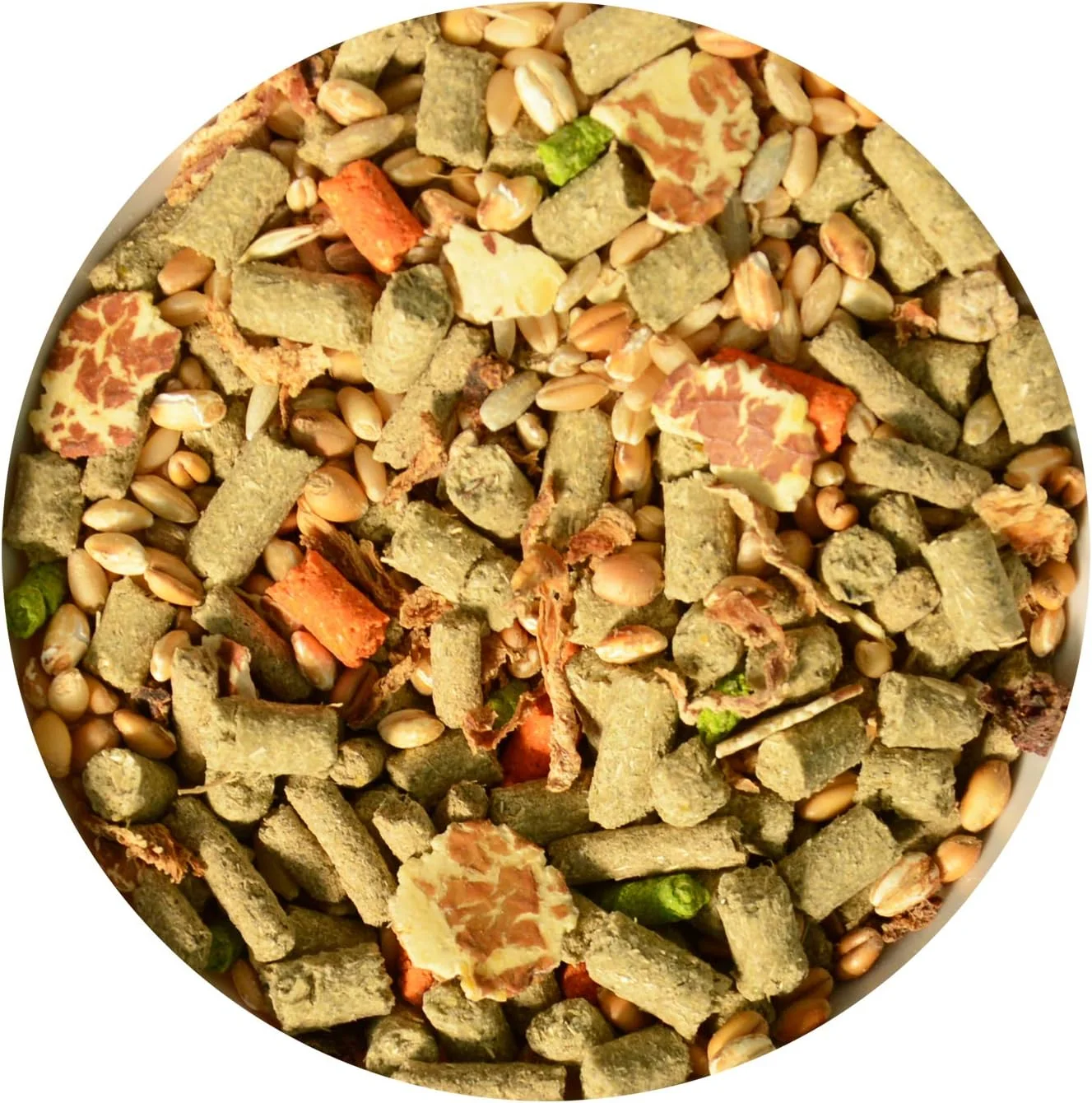 غذای خوکچه هندی جشن خوشمزه جیمی پت پروداکتس (1.2 کیلوگرم)