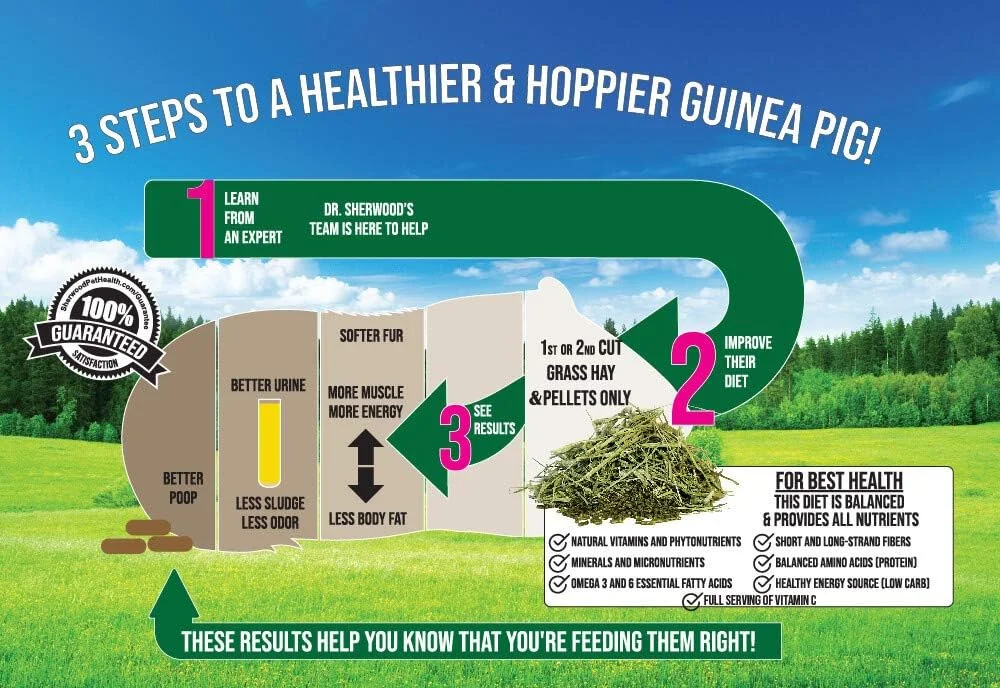 غذای پلت تیموتی مخصوص خوکچه هندی بالغ شروود پت هلث (2 کیلوگرم)