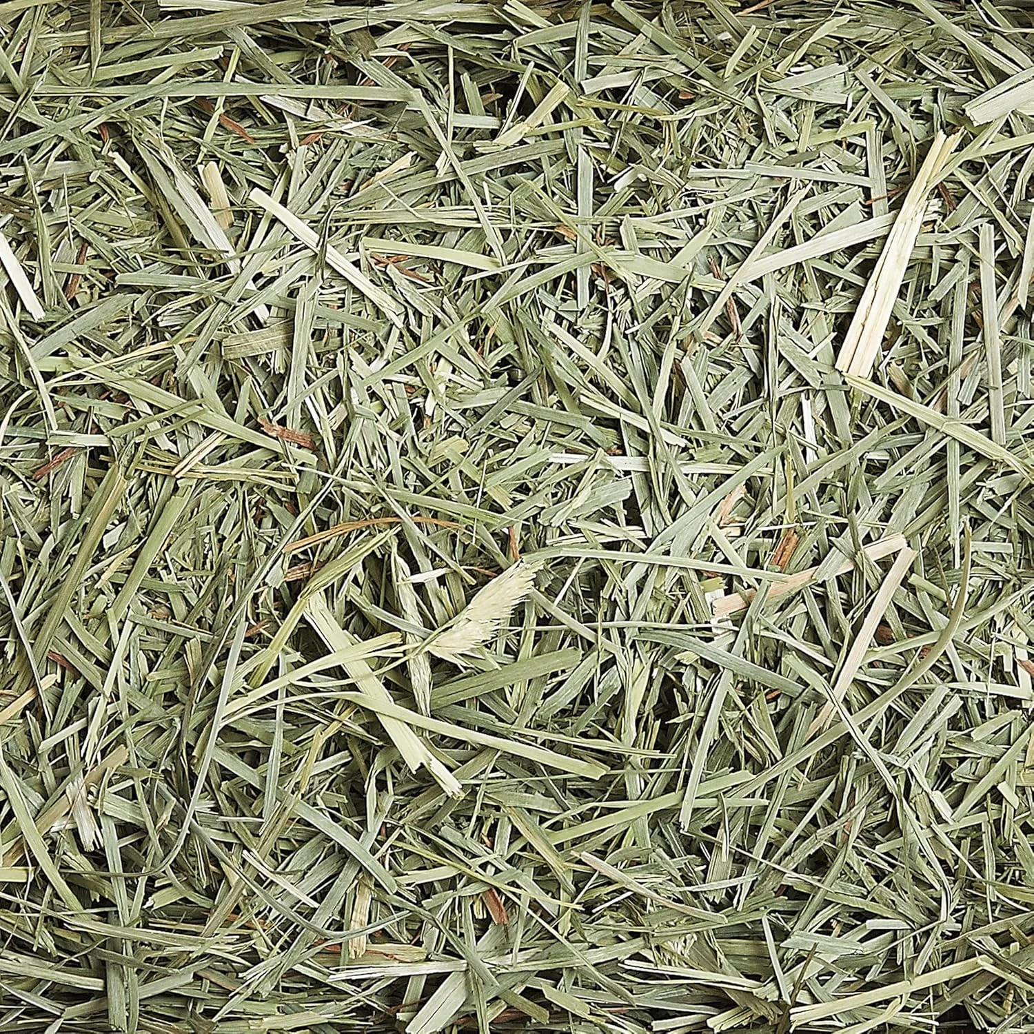 یونجه تیموتی Sunsations برای حیوانات کوچک، طعم تیموتی، 720 گرم، بسته 1 عددی