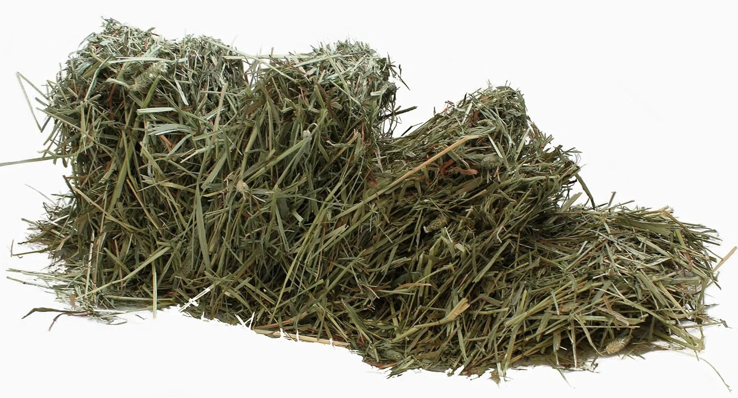 یونجه تیموتی Sunsations برای حیوانات کوچک، طعم تیموتی، 720 گرم، بسته 1 عددی