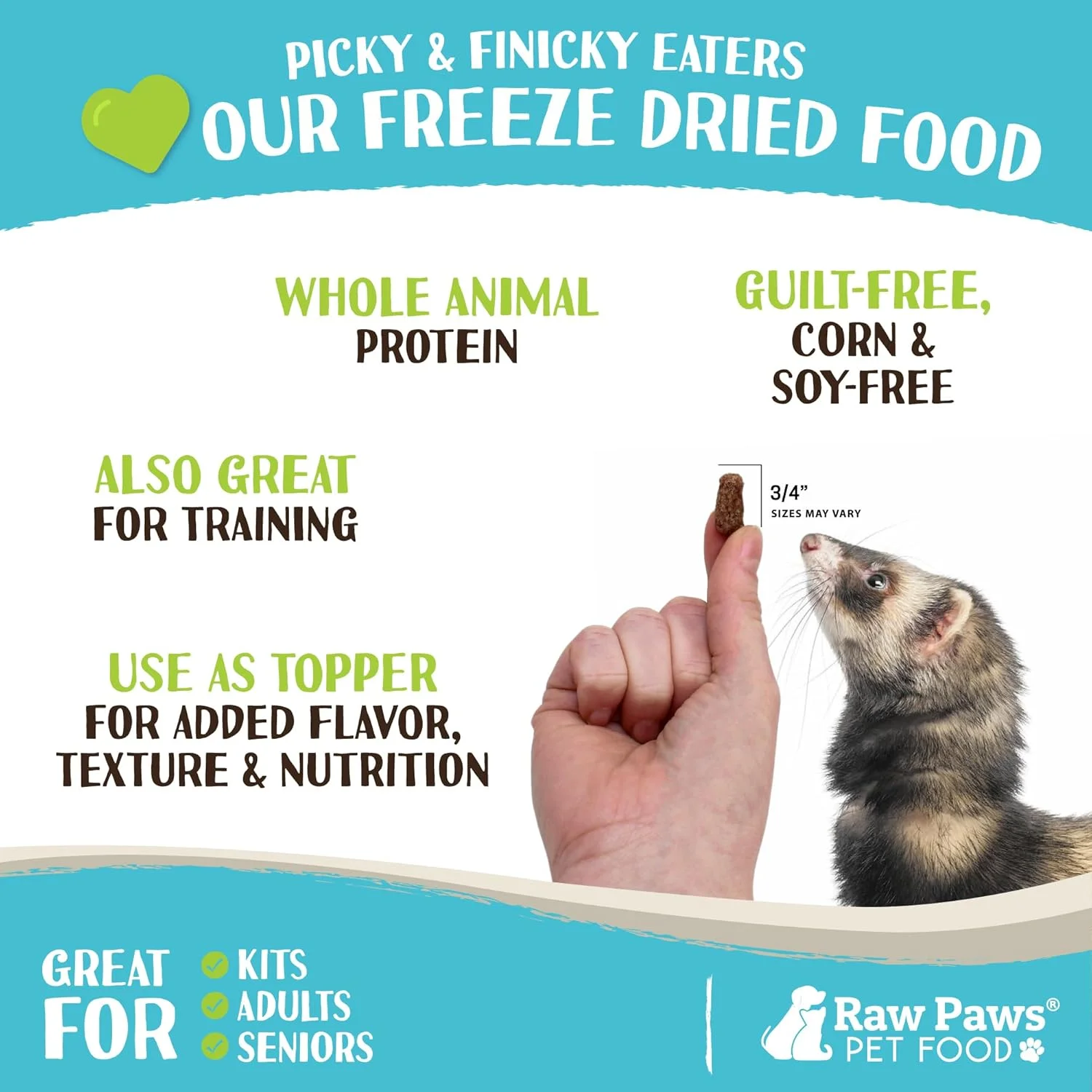 غذای خام خشک شده برای راسو Raw Paws، گوشت گاو 450 گرمی - تولید شده در ایالات متحده آمریکا - غذای ممتاز و بدون غلات برای راسوهای کوچک، بالغ، مسن و بچه راسو - همچنین به عنوان تشویقی طبیعی برای راسوها برای پاداش و آموزش استفاده می شود