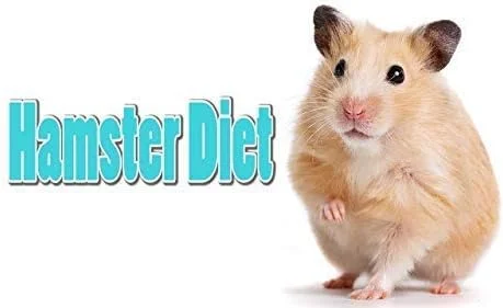 غذای تخم مرغی بین المللی مراقبت از حیوانات خانگی (PCI) برای همه گروه های سنی همستر، شوگر گلایدر، جوجه تیغی، موش، سنجاب مینیاتوری برای تامین ویتامین ها، مواد معدنی و مواد مغذی ضروری برای مراقبت سالم از حیوانات خانگی (250 گرم)