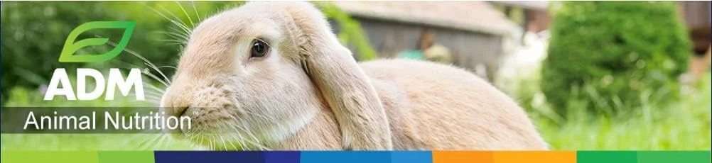 خوراک خرگوش پن پالز، پلت مینی، 25 پوند - 80034AAAE6