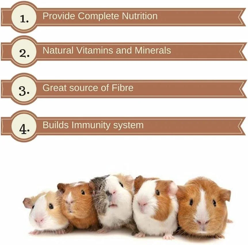 غذای اقتصادی حیوانات کوچک ویتاپول برای همستر، ۱.۲ کیلوگرم