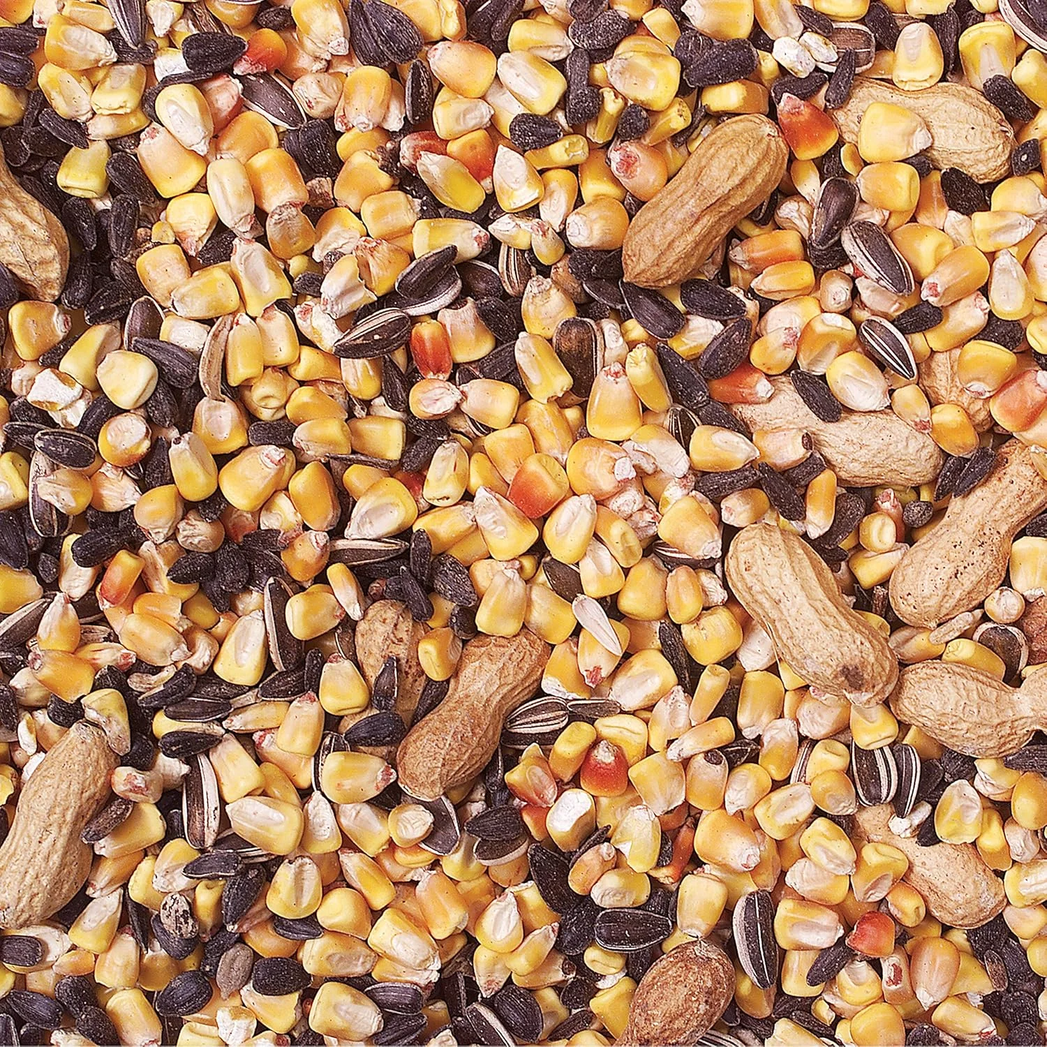 دانه آجیل مخصوص سنجاب Wild Delight 362200، وزن 9 کیلوگرم