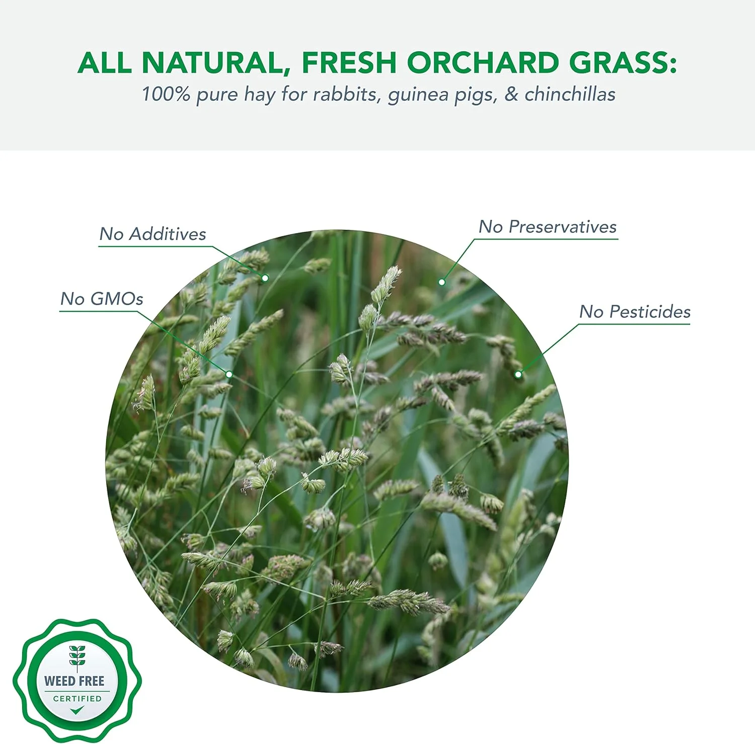 یونجه باغی برای خرگوش ها و حیوانات خانگی کوچک، ۲.۲ کیلوگرم