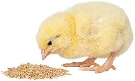 خوراک پولکی طیور BIO Blooms Agro India Private Limited برای جوجه های جوان (0 تا 6 هفته، 1 کیلوگرم، Bio_25)