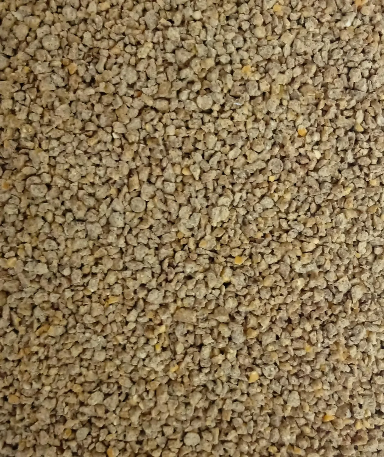 خوراک مرغ ممتاز ADILAID (800 گرم)