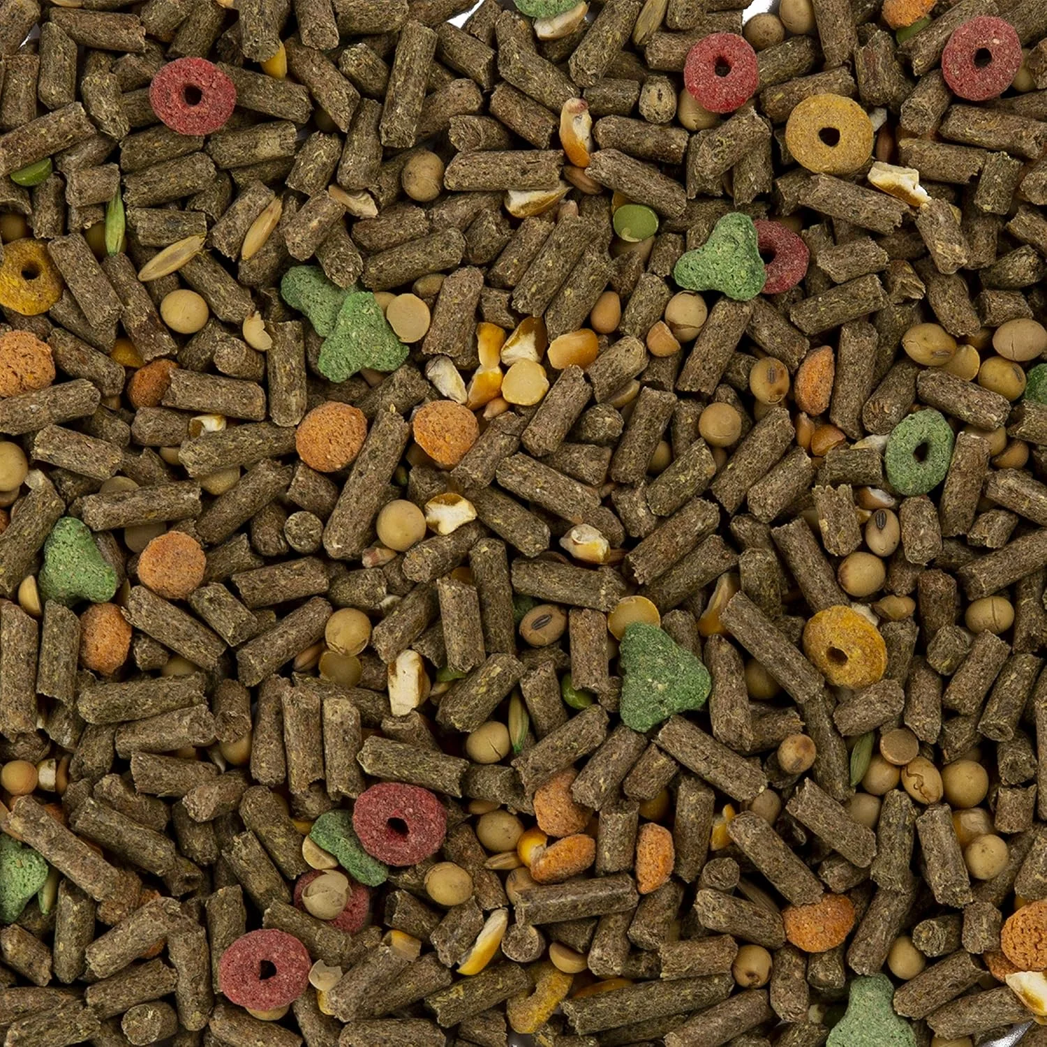 غذای کامل جونده Wild Harvest مدل Wh-83545، وزن 2 کیلوگرم