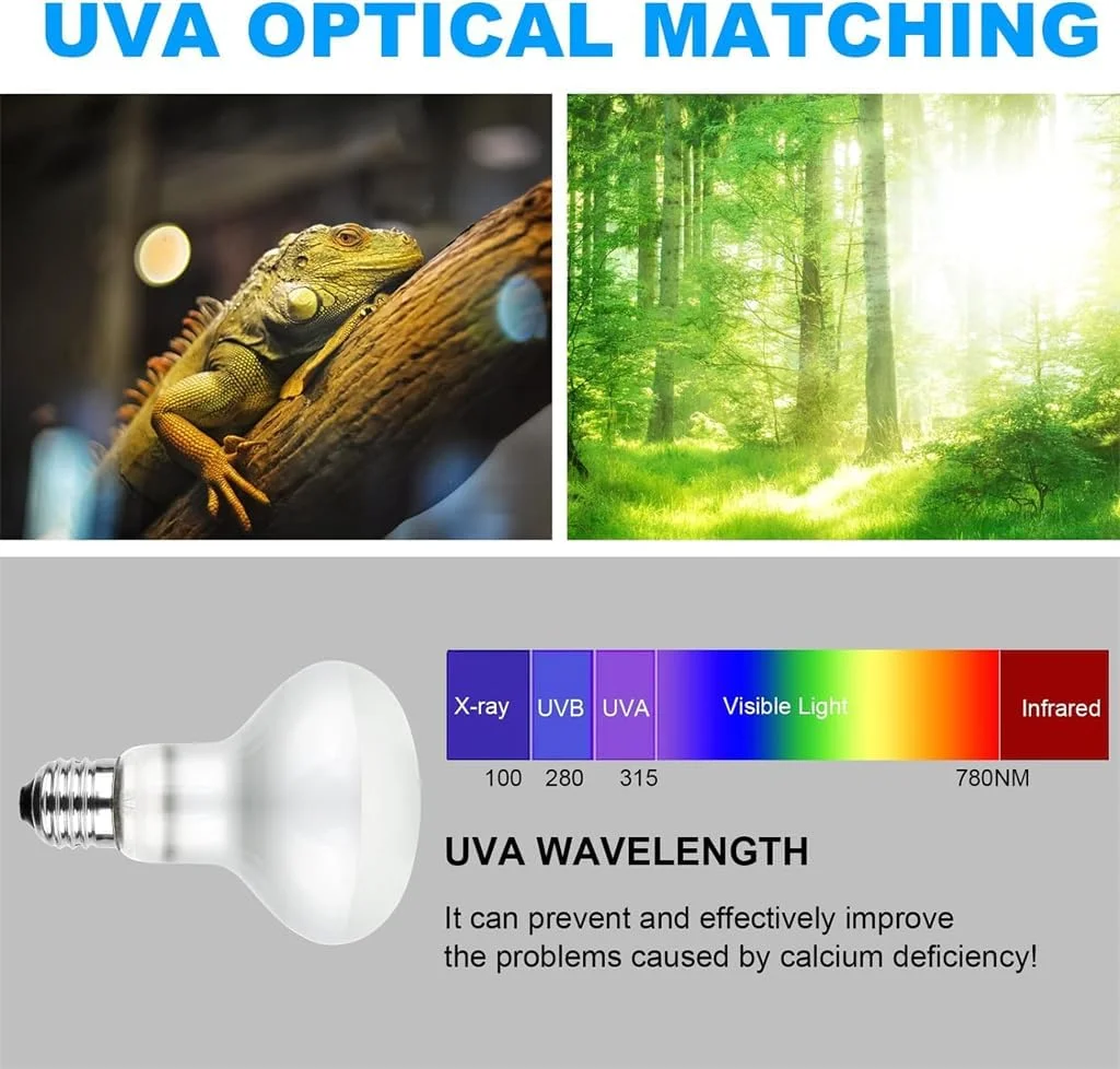 لامپ نقطه ای آفتاب گیر Azonee، بسته 2 عددی لامپ حرارتی 100 واتی برای خزندگان، لامپ حرارتی لاک پشت، لامپ حرارتی نور طبیعی برای خزندگان، دوزیستان، جوجه ها، توله سگ ها، سفید