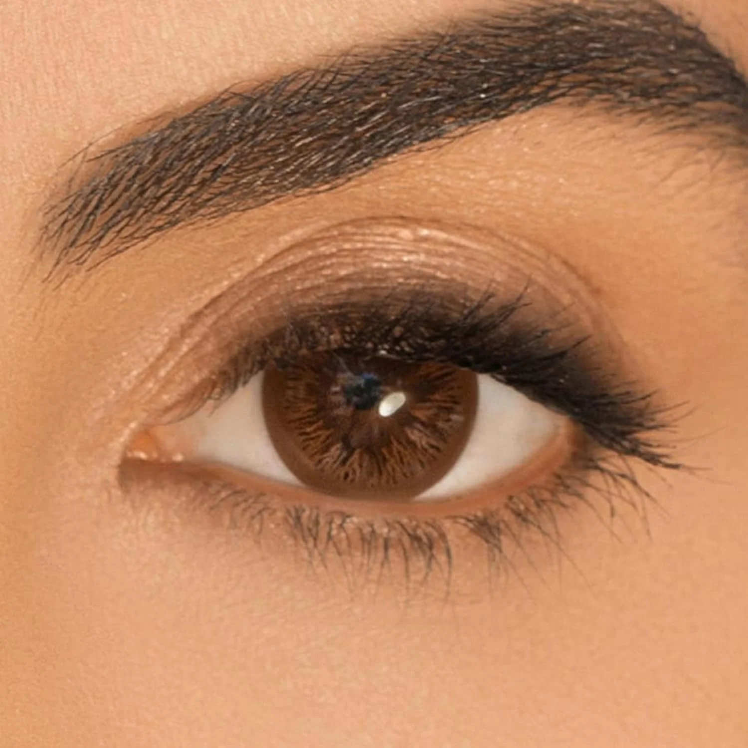 لنزهای تماسی روزانه با توان های مختلف (بسته 30 عددی, 4.00-, 8.5, 14.2, 30) لنزهای تماسی روزانه با توان های مختلف (بسته 30 عددی, 4.00-, 8.5, 14.2, 30)