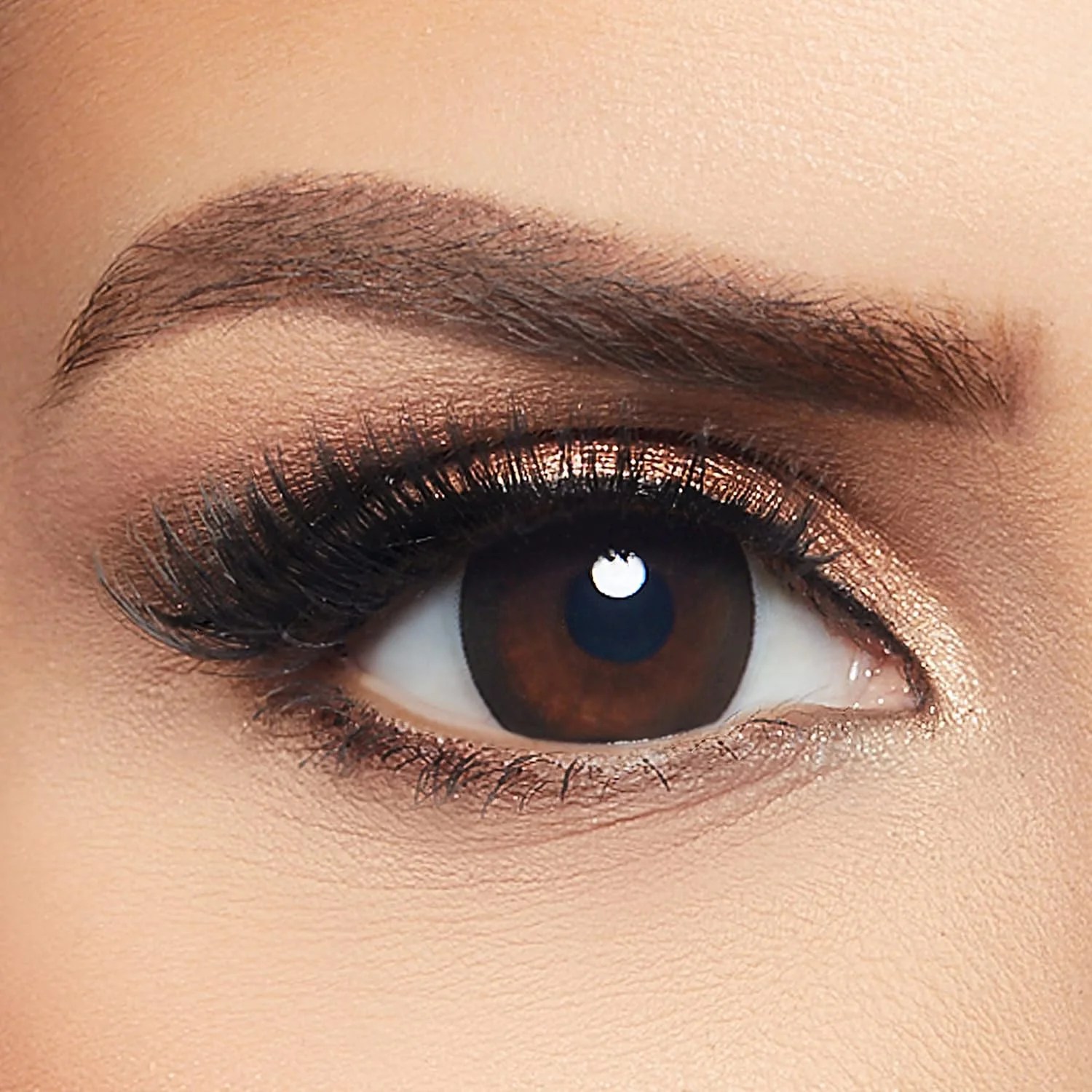 لیالا از ایوا - بسته 10 عددی لنز تماسی رنگی کانتور - رنگ مشکی خیره کننده - لنزهای چشمی یکبار مصرف روزانه - لنزهای تماسی یونیسکس - موجود در پلانو و تمام نمره ها