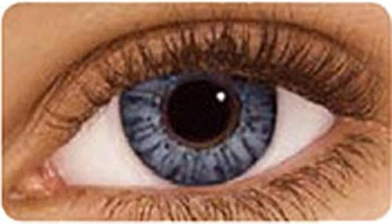 لنز تماسی رنگی روزانه فرش لوک (خاکستری نقره‌ای، قدرت 0.00)