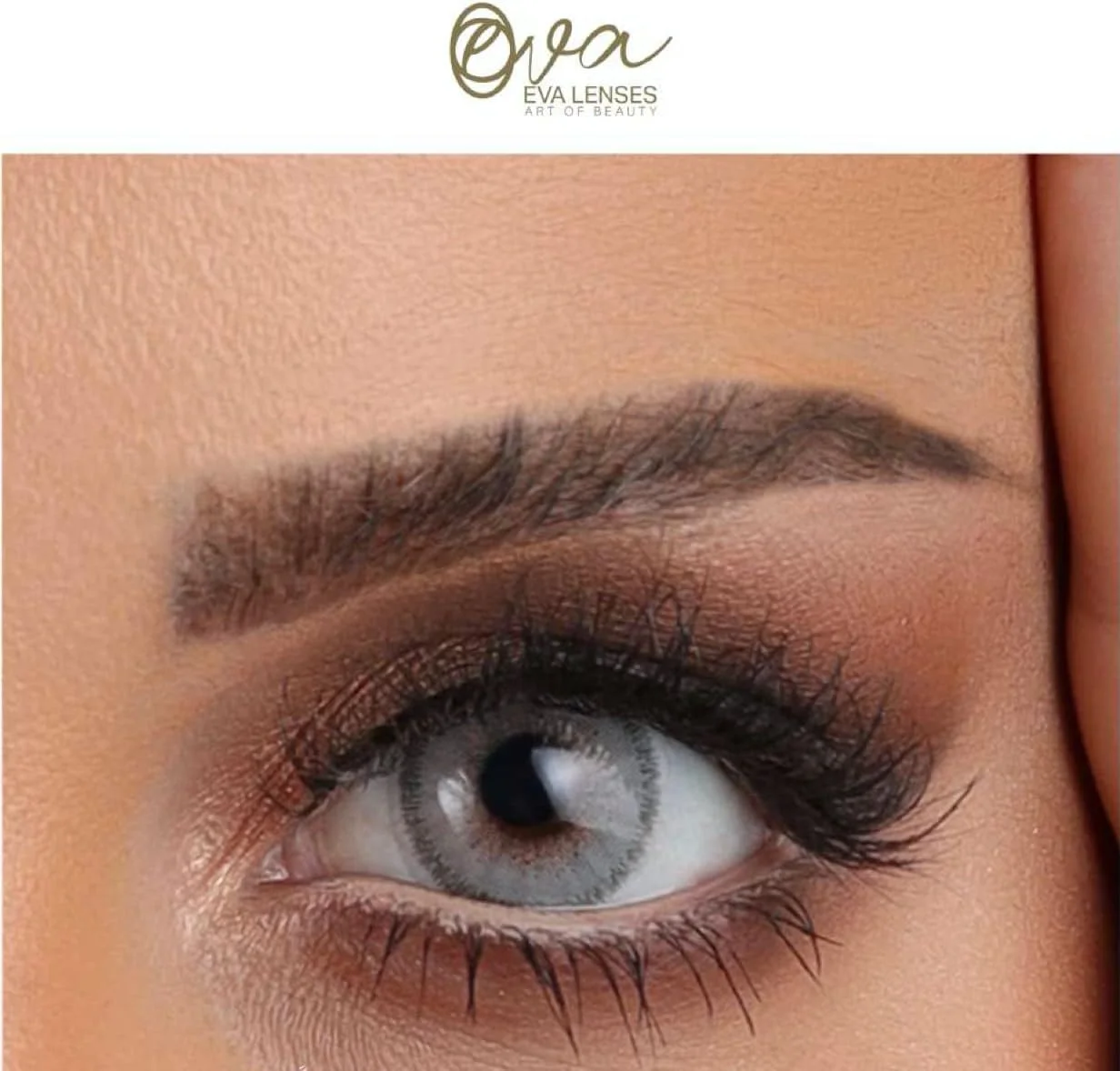 لنزهای اِوا (مجموعه خاکستری، رنگ: فندقی خاکستری) - لنزهای رنگی بدون نمره - جلوه طبیعی و مناسب برای همه