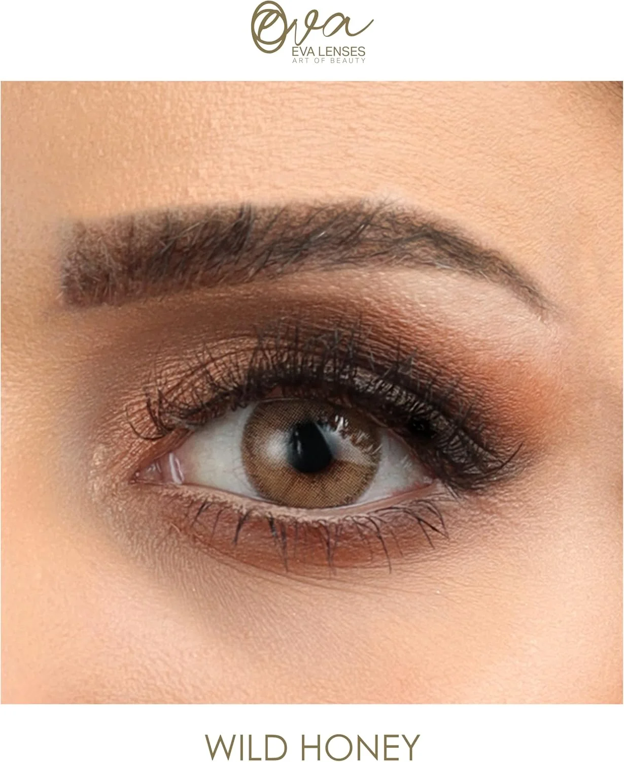 لنزهای اِوا (مجموعه هیزل، رنگ: عسل وحشی) - لنزهای رنگی بدون نمره - جلوه طبیعی و مناسب برای همه