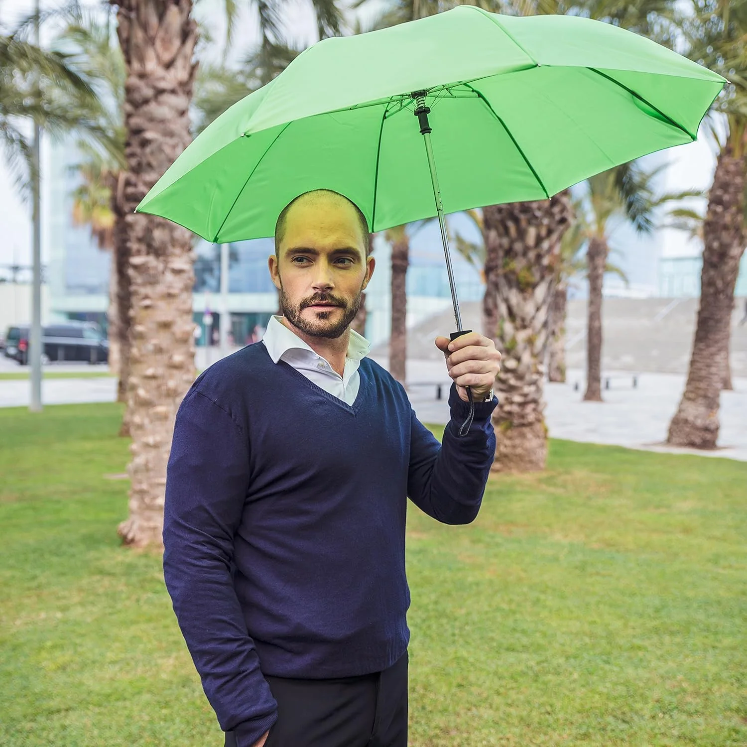 چتر طیف رنگی استرومبرگ، سبز لیمویی چتر طیف رنگی استرومبرگ، سبز لیمویی