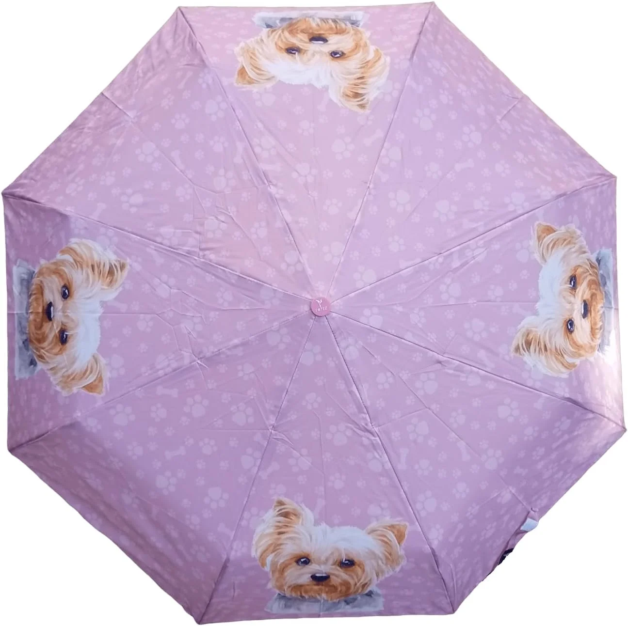 چتر مسافرتی میرو با طرح سگ، مخصوص بانوان، رنگ، هنر و استایل در باران! چتر بلند ضد باد | طراحی گلدار با پروانه ها | هدیه ای خاص