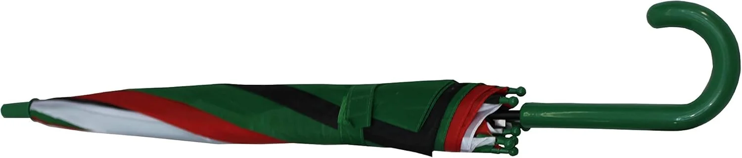 چتر اتوماتیک بازشو کودکانه با طرح پرچم امارات متحده عربی