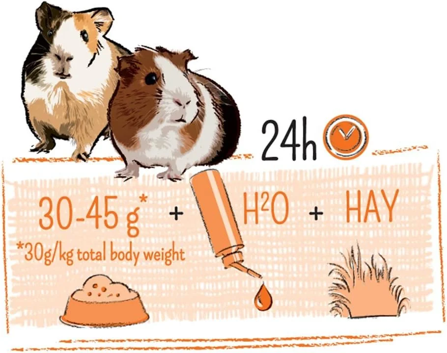 ویت مولن پور خوکچه هندی ۷۰۰ گرم