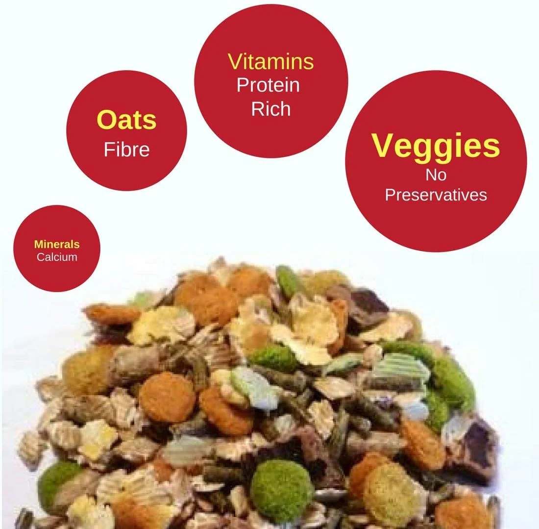 غذای خرگوش ویتپول مدل اقتصادی 1200 گرمی