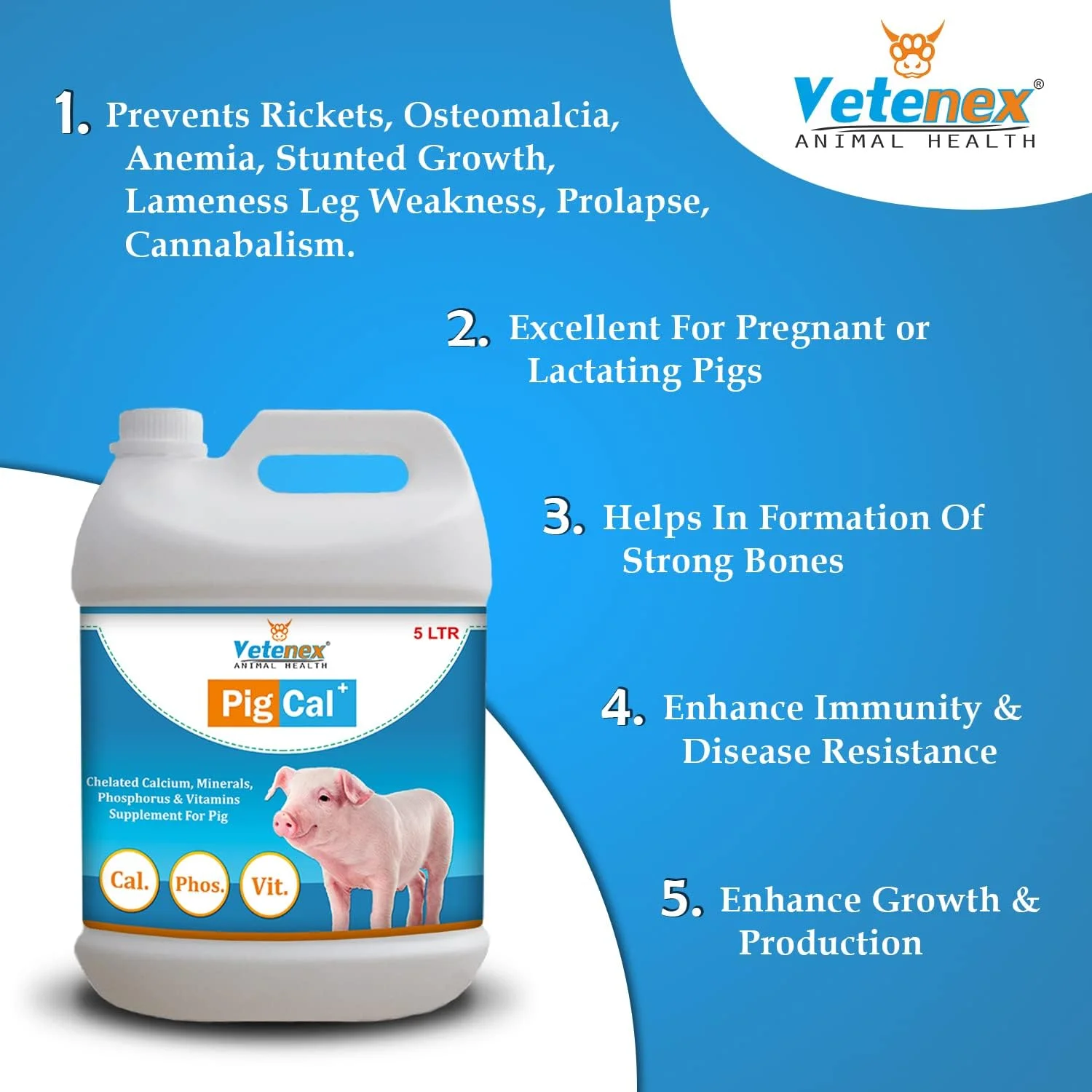 مکمل کلسیم خوک - مکمل کلسیم برای خوک، خوکچه و خوکداری - 5 لیتر مکمل کلسیم خوک - مکمل کلسیم برای خوک، خوکچه و خوکداری - 5 لیتر