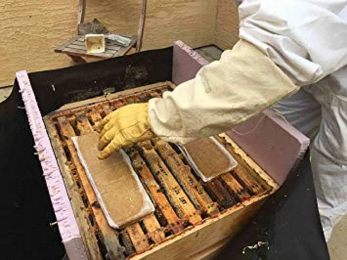 پاتی گرده VILLAGE GIFT IMPORTERS | فرمول پروتئین بالا | خوراک مکمل برای تمام سطوح زنبورداران