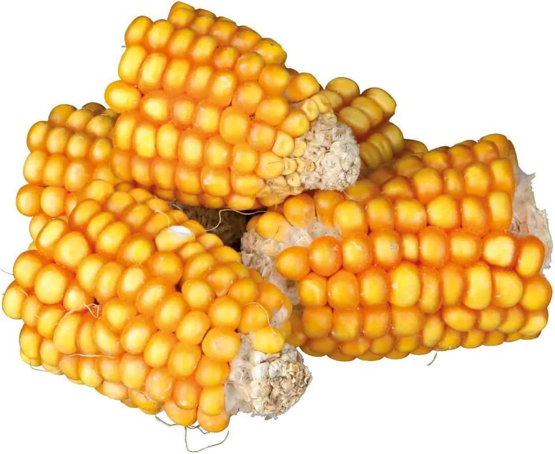 تکه های بلال ذرت تریکسی خوراکی حیوانات کوچک - 300 گرم