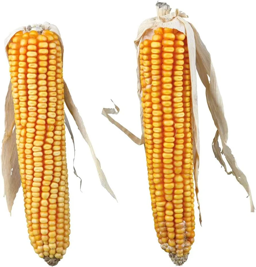 بلال ذرت با پوست تریکسی، تشویقی برای حیوانات کوچک، 250 گرم