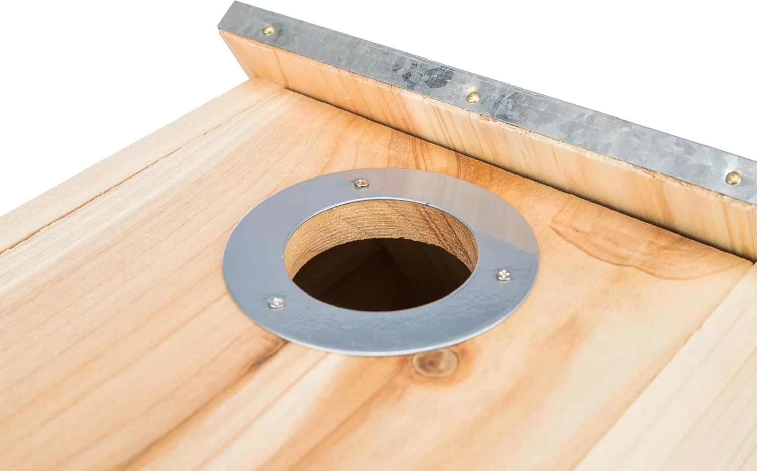 لانه پرنده تریکسی برای سارها - قهوه ای / 18X31X16 سانتی متر