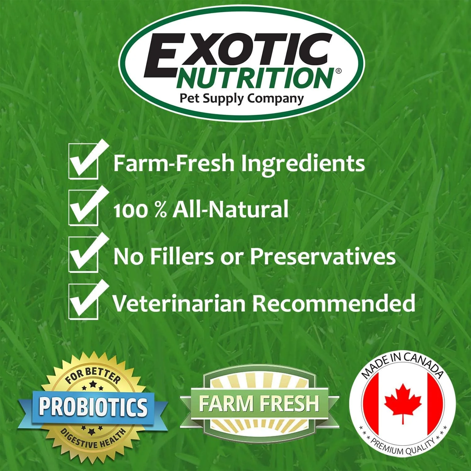 یونجه تیموتی مکعبی 1.3 کیلوگرمی - 100% طبیعی، سرشار از فیبر، غذای علف تیموتی خشک شده در آفتاب - مناسب برای خرگوش ها، خوکچه هندی، چینچیلا، دگو، سگ دشتی، لاک پشت، همستر، موش خرما، موش و حیوانات خانگی کوچک