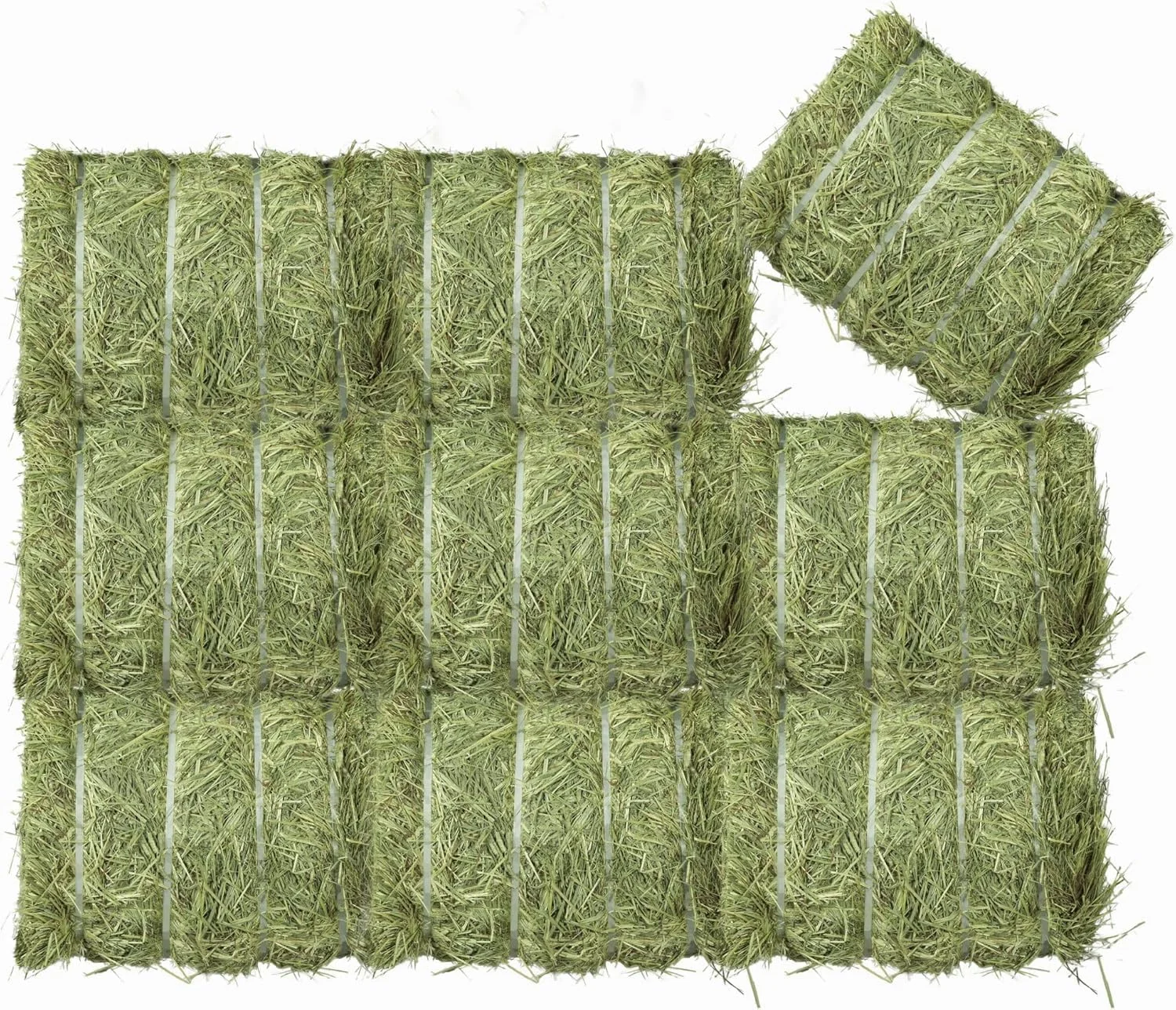 یونجه تیموتی با کیفیت عالی - تقریباً 8 کیلوگرم برای خرگوش ها