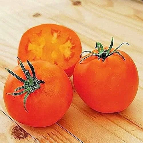 گوجه فرنگی گوشتی نارنجی آمیش، دارای بالاترین میزان لیکوپن! ببینید!