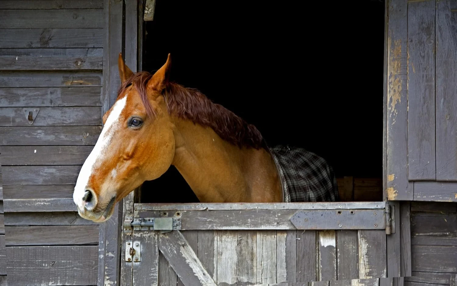 پودر 15.8 کیلوگرمی