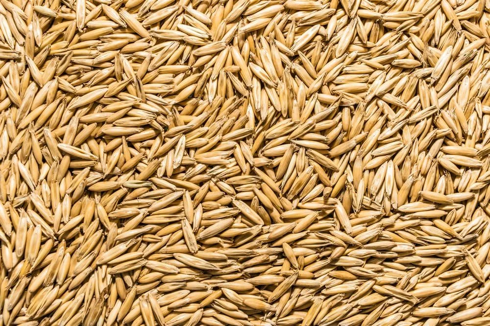 بذر جو دوسر ارگانیک و غیر تراریخته تاندر اکرز (450 گرم)