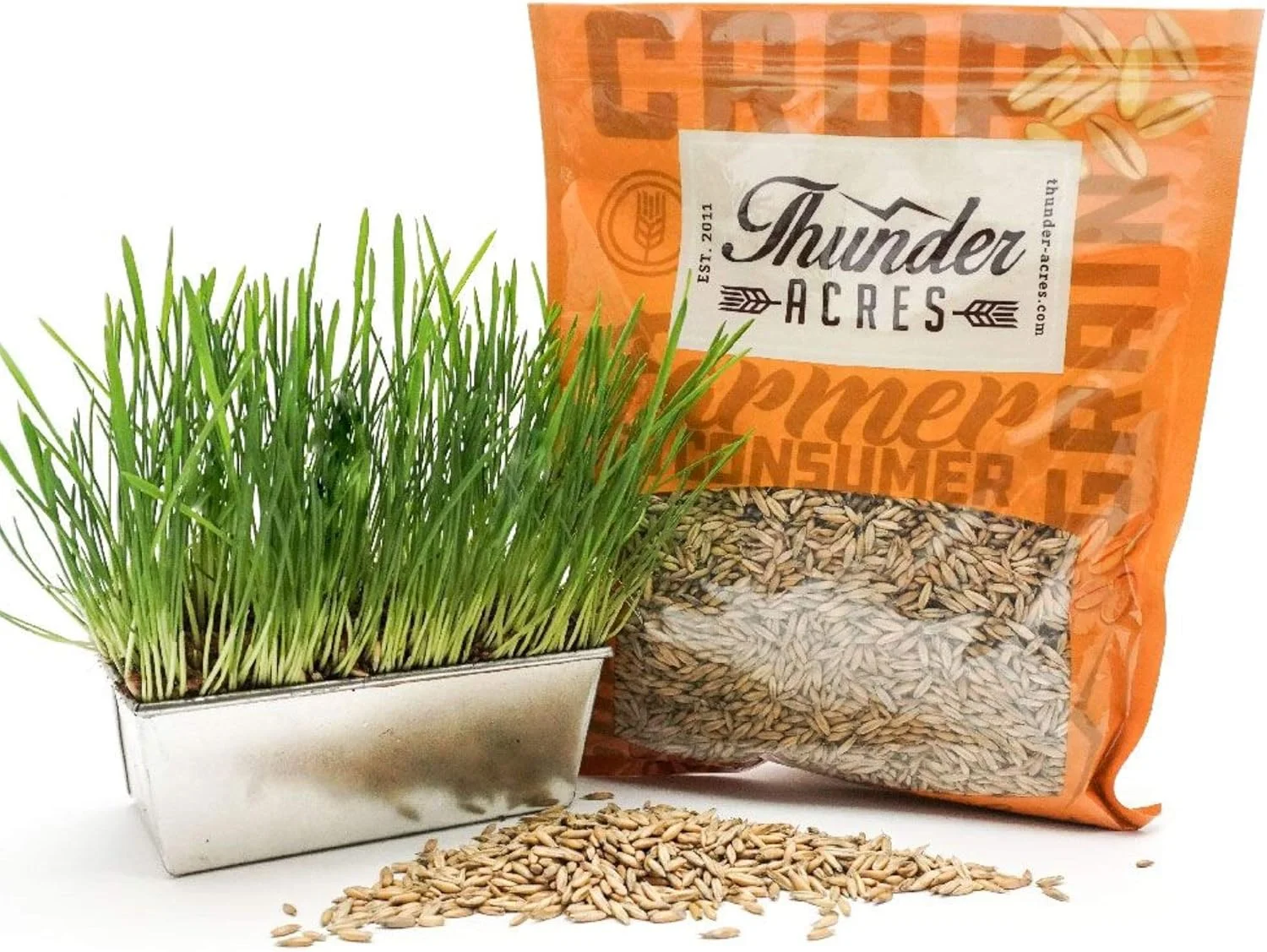 بذر جو دوسر ارگانیک و غیر تراریخته تاندر اکرز (450 گرم)