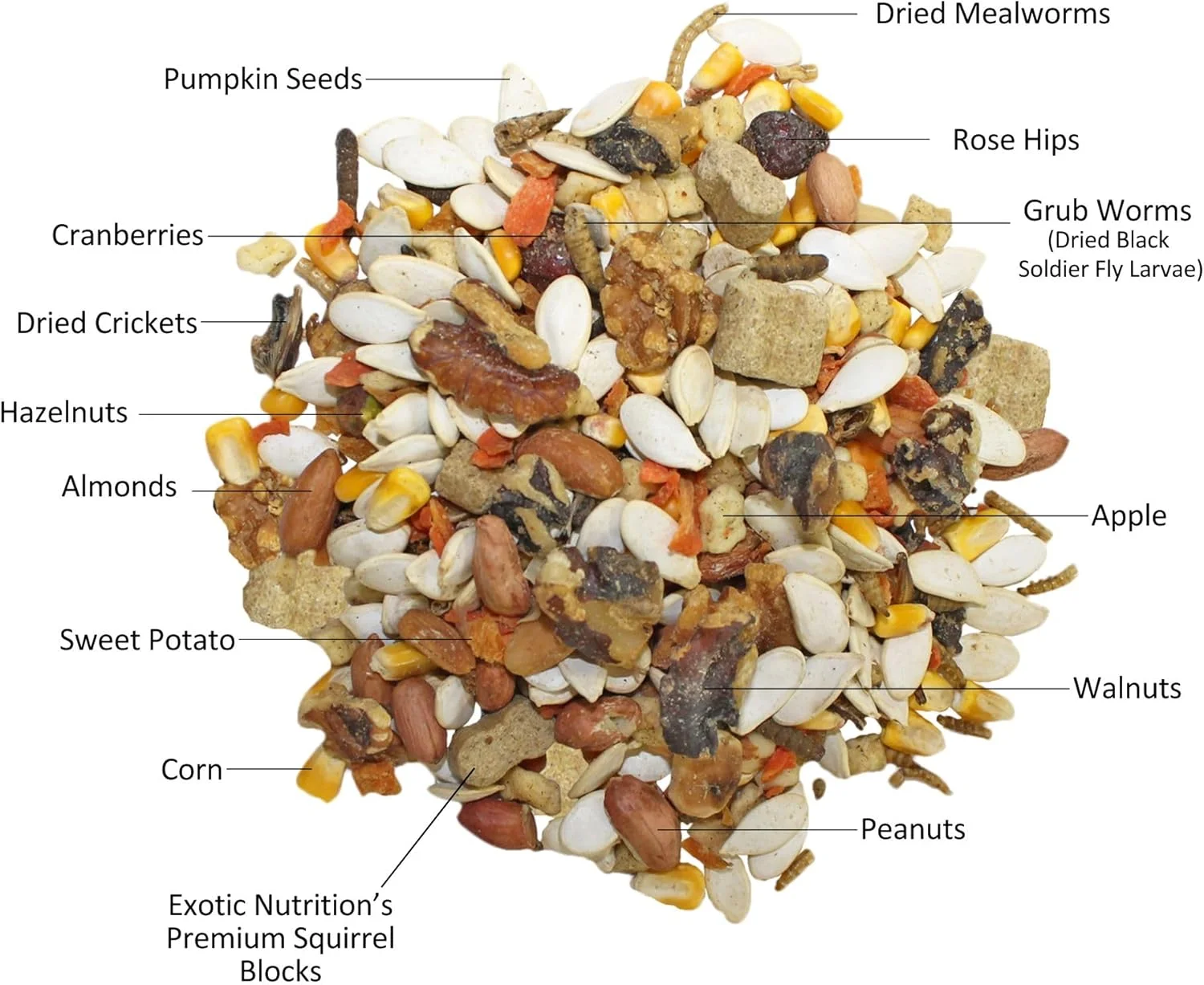 غذای کامل سنجاب (1.8 کیلوگرم) - غذای طبیعی سالم - رژیم غذایی کامل و مغذی برای سنجاب ها - سنجاب های زمینی، سنجاب های خاکستری و سنجاب های پرنده