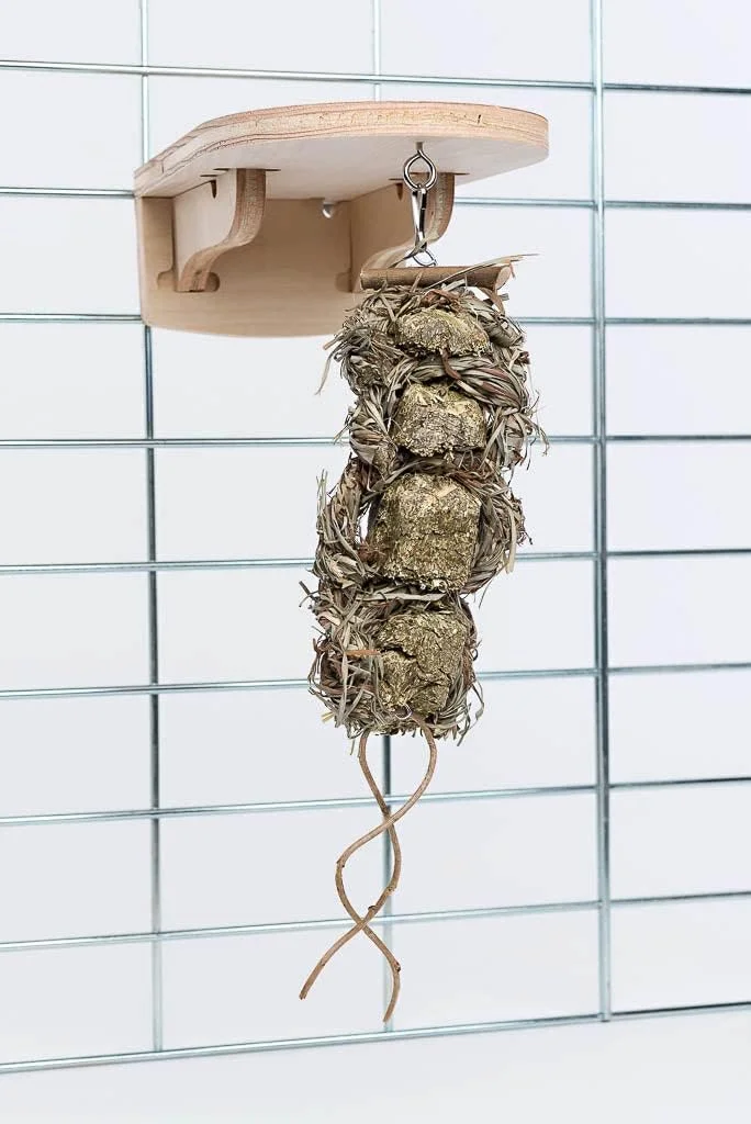 مجموعه سکوی زیستگاه Small Pet Select به همراه آویز متحرک، برای خرگوش ها، خوکچه هندی و سایر حیوانات کوچک