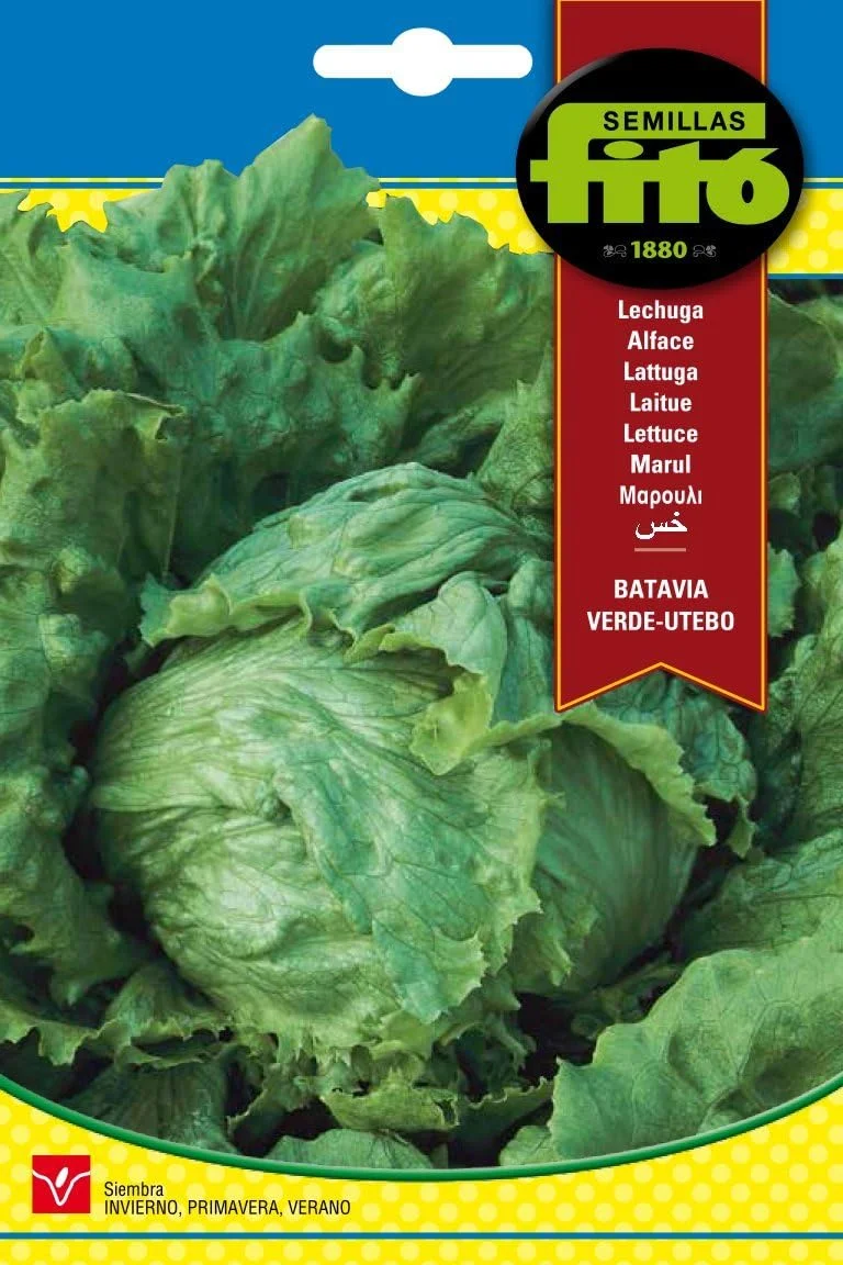 کاهو وبز واندرپول اوتبو Semillas Fitó