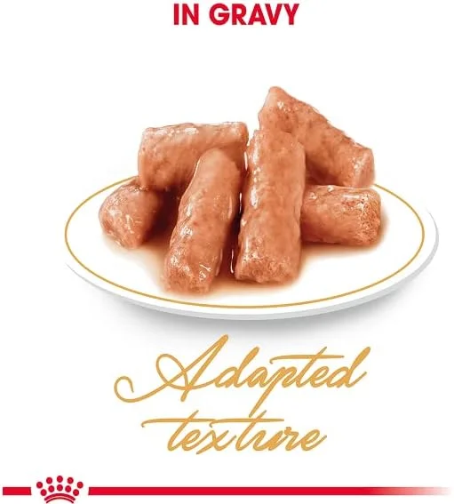 غذای مرطوب گربه نژاد بریتیش شورت هیر رویال کنین (پوچ)