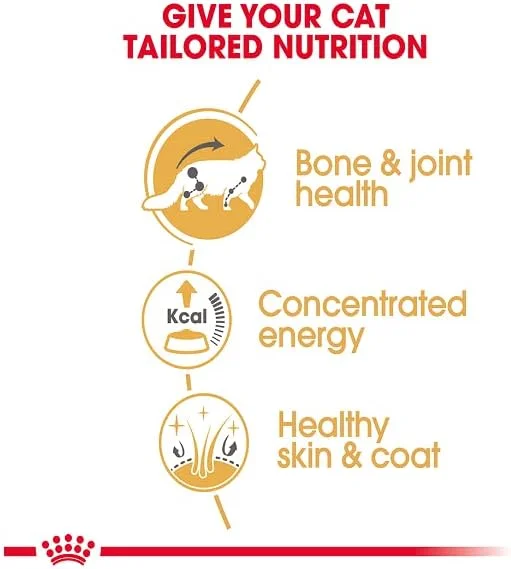 غذای مرطوب گربه نژاد مین کون رویال کنین (بسته ای)
