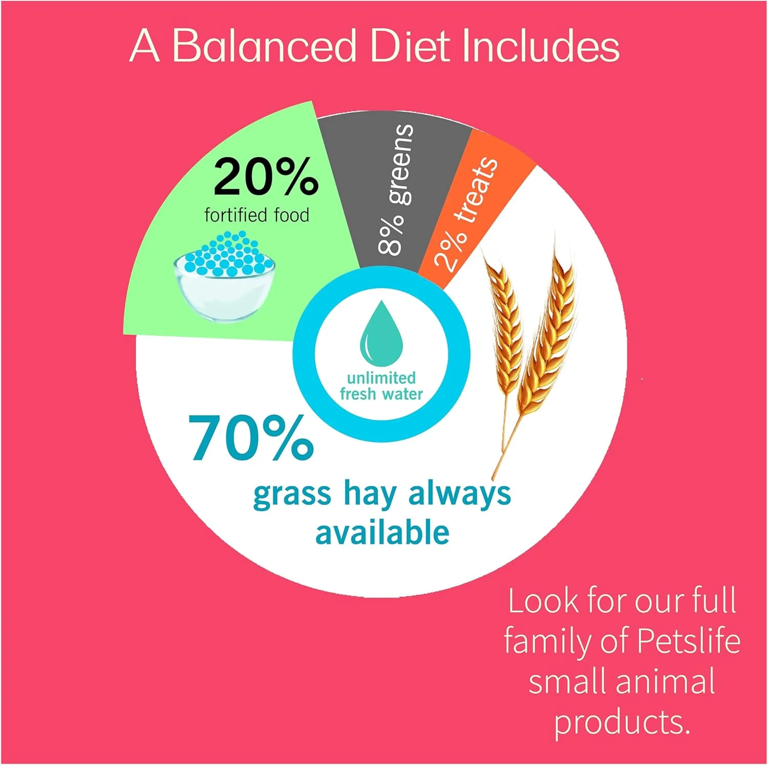 غذای پلت مخصوص خوکچه هندی پتس لایف، مناسب برای تمام مراحل زندگی، طعم متنوع، 1 کیلوگرم
