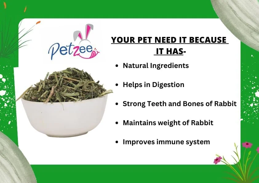 یونجه خشک، غذا برای بچه خرگوش ها، خوکچه هندی، همسترها و سایر حیوانات کوچک (400 گرم، بسته 2 عددی)