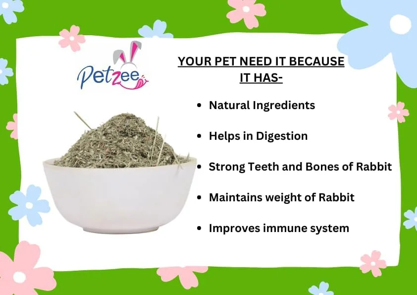 غذای تیموتی برای خرگوش، خوکچه هندی، همستر و سایر حیوانات کوچک (400 گرم)