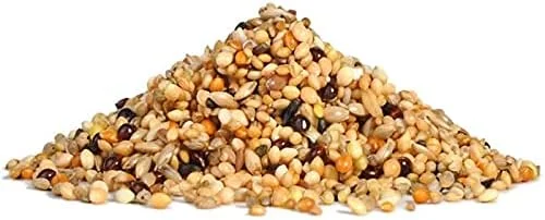 غذای کامل روزانه ریو برای حیوانات خاص - 500 گرم